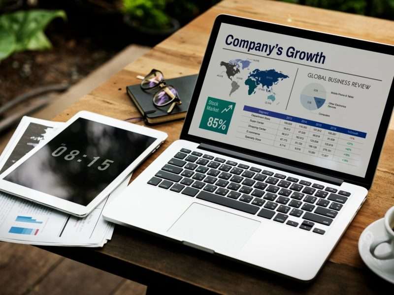 Dallas Web Design and Digital Marketing Services Royal Bully